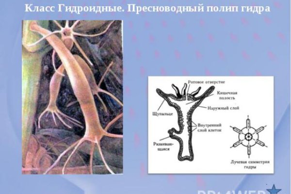 Как зайти на кракен с компа