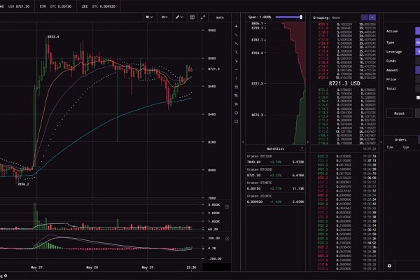 Kraken 20at
