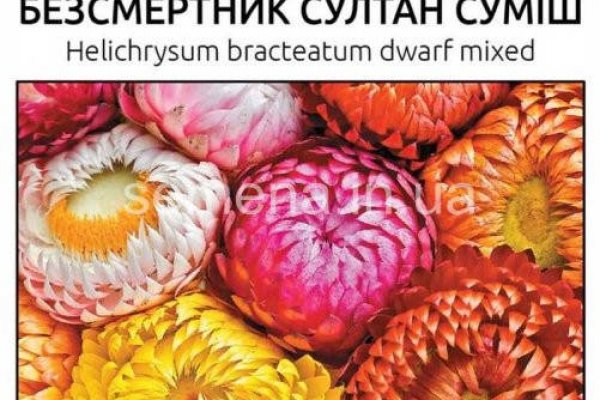 Кракен мп